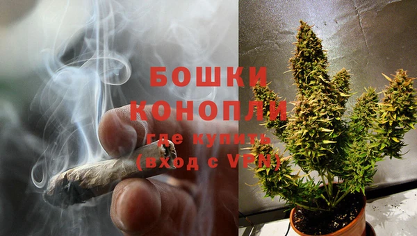ПСИЛОЦИБИНОВЫЕ ГРИБЫ Беломорск