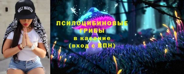ПСИЛОЦИБИНОВЫЕ ГРИБЫ Беломорск